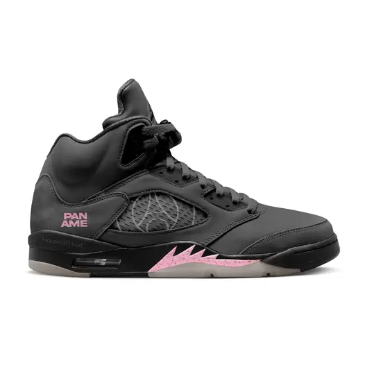 Air Jordan 5
